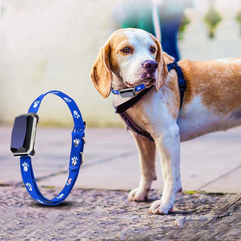 GPS pet positioning collar - PetJoy