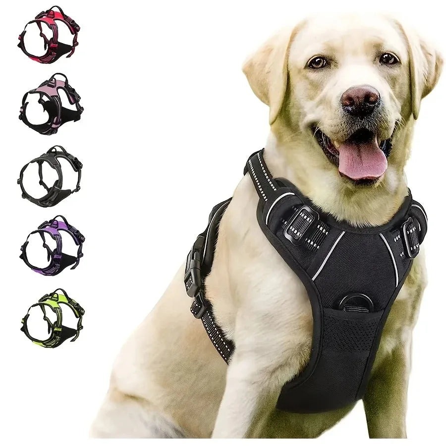 Leather Dog Harness &amp; Leash Set – Petjoy