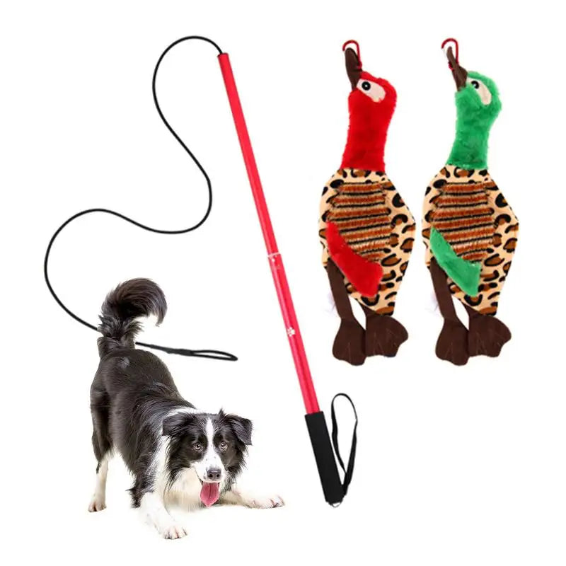 Interactive Flirt Pole Toy for Dogs – Petjoy