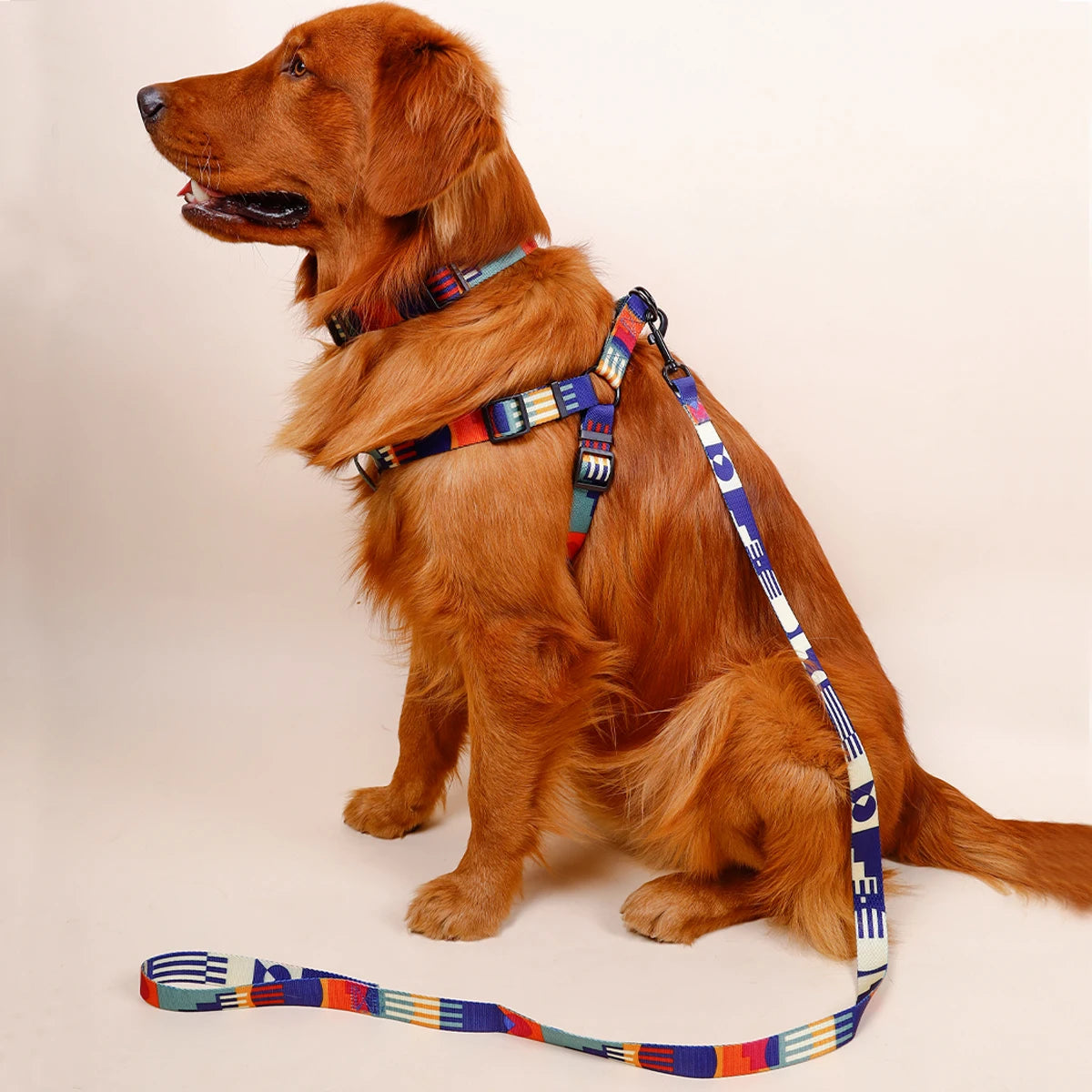 3-Piece Geometric Dog Harness, Collar &amp; Leash Set – Adjustable &amp; Escape-Proof – PetJoy