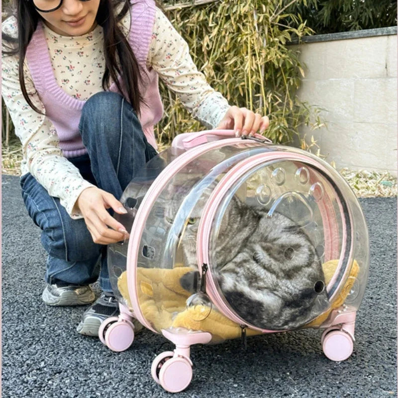Transparent Wheeled Pet Travel Carrier for Cats Small Dogs – PetJoy
