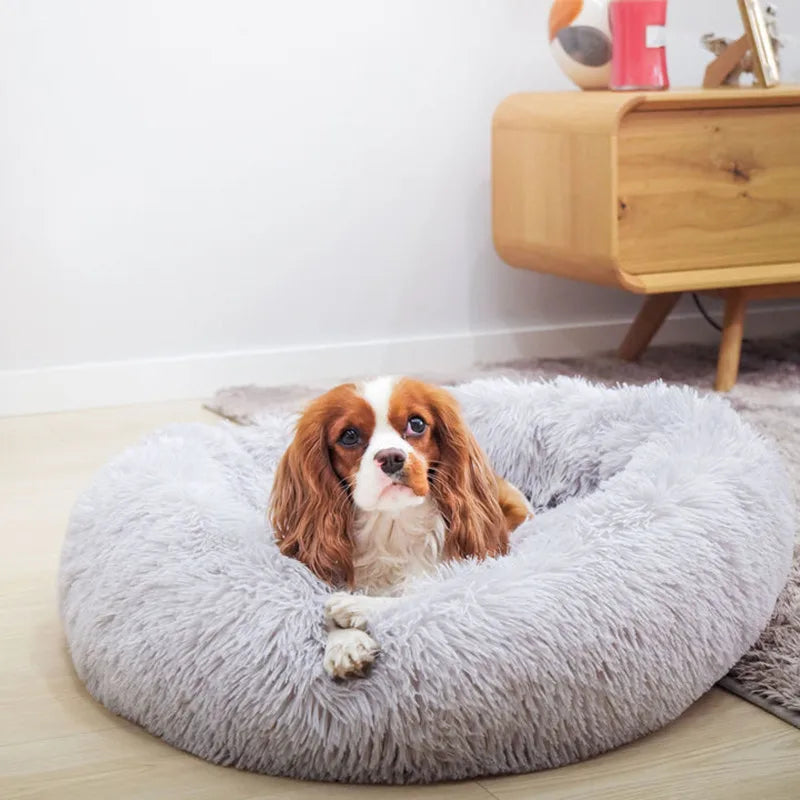 Calming Donut Pet Bed – PetJoy
