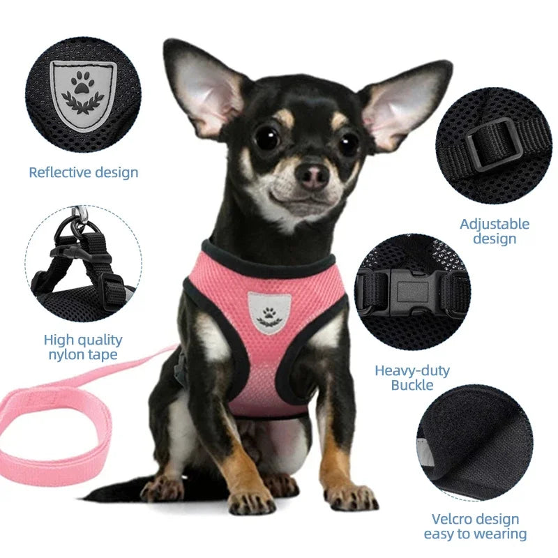 Breathable Mesh Harness &amp; Leash Set – Petjoy