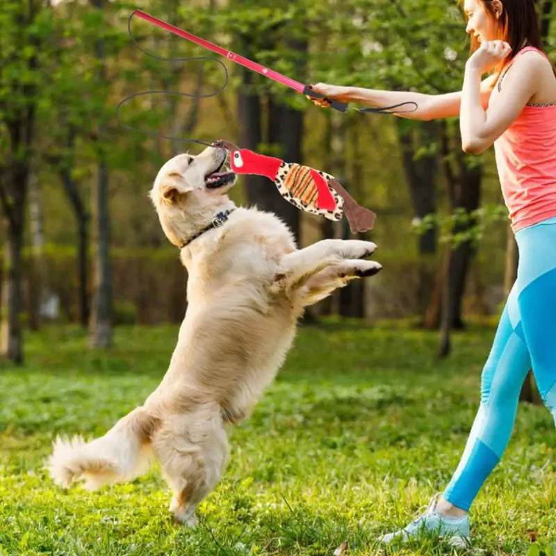 Interactive Flirt Pole Toy for Dogs – Petjoy