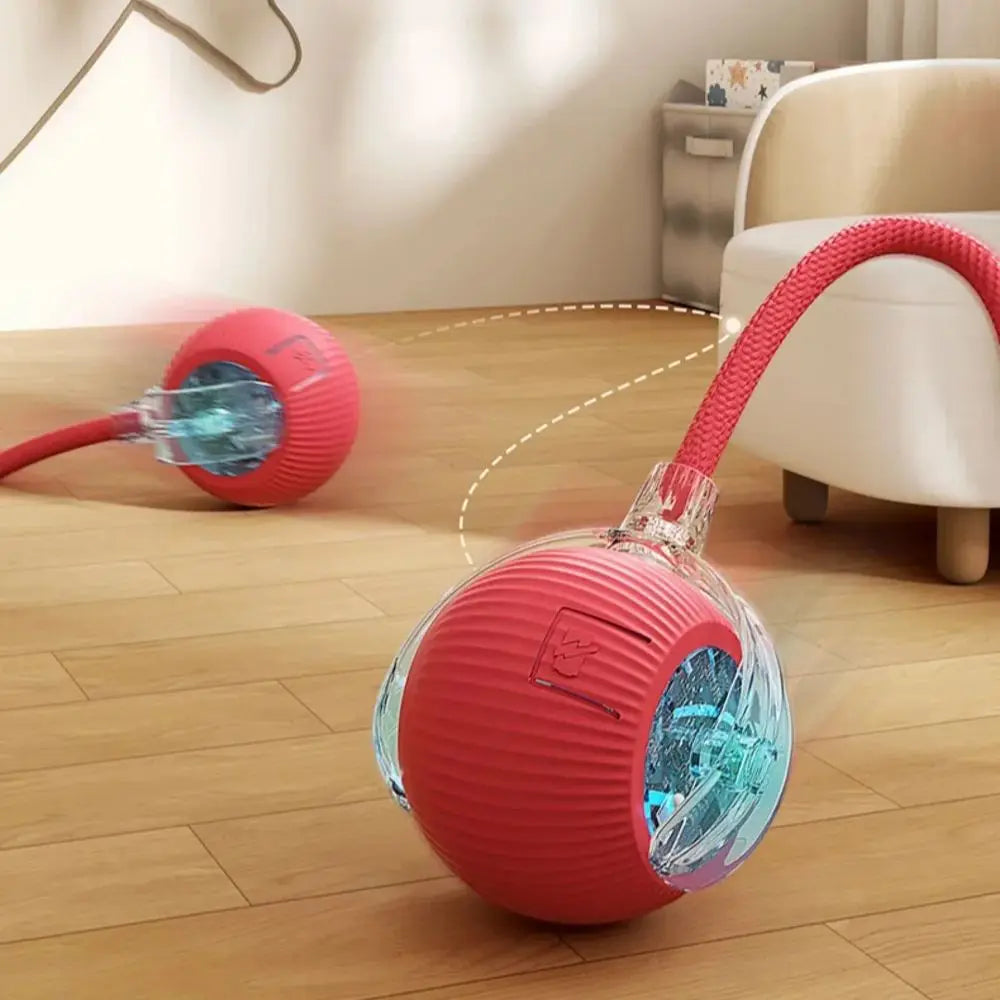 Smart Rolling Mouse Ball for Cats – Petjoy