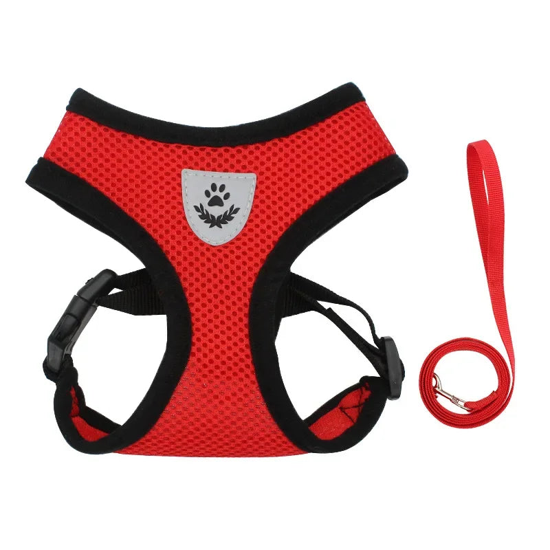 Breathable Mesh Harness &amp; Leash Set – Petjoy
