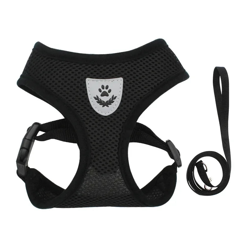 Breathable Mesh Harness &amp; Leash Set – Petjoy