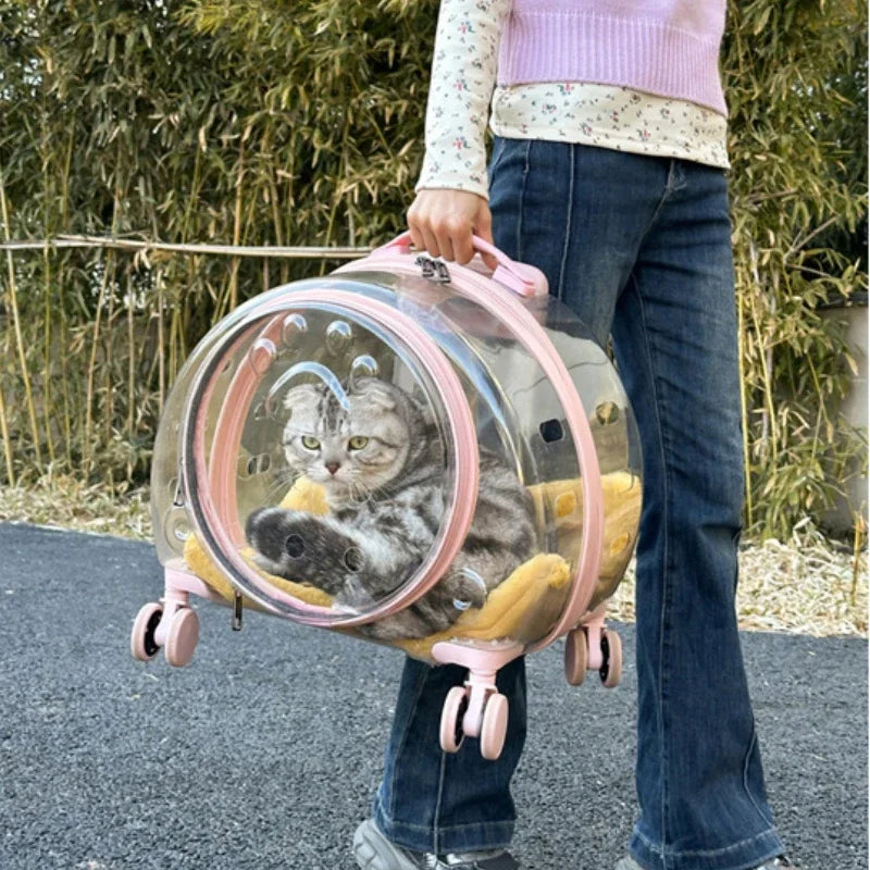 Transparent Wheeled Pet Travel Carrier for Cats Small Dogs – PetJoy