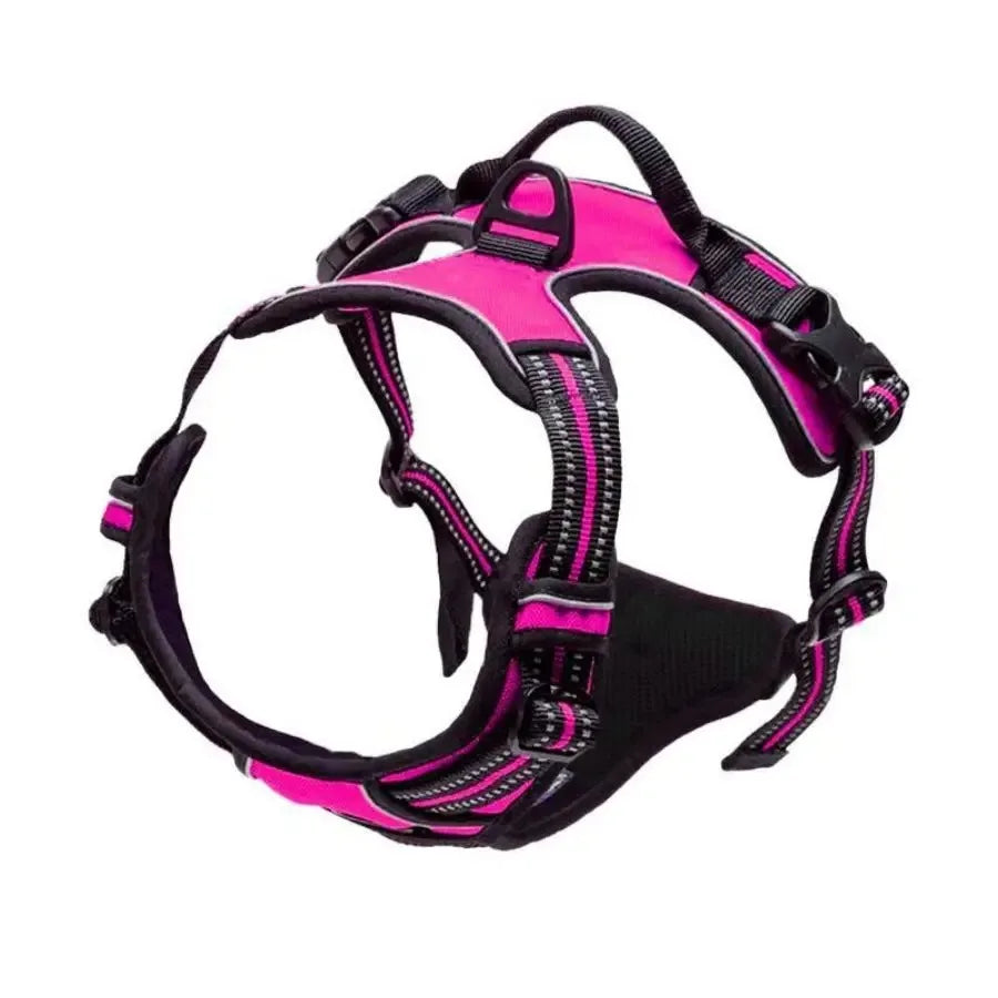 Leather Dog Harness &amp; Leash Set – Petjoy