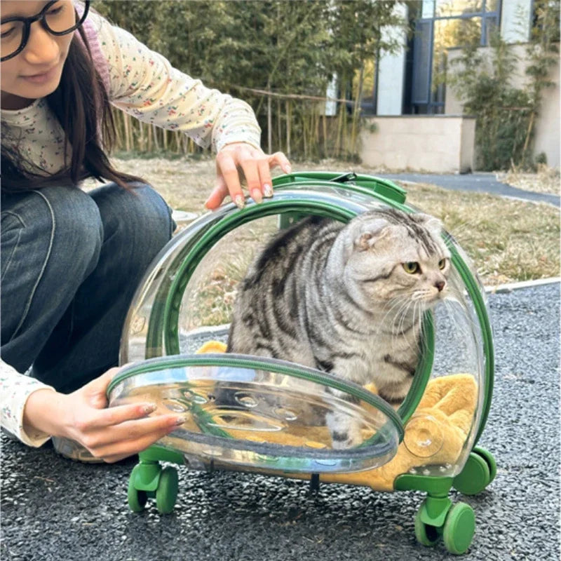 Transparent Wheeled Pet Travel Carrier for Cats Small Dogs – PetJoy