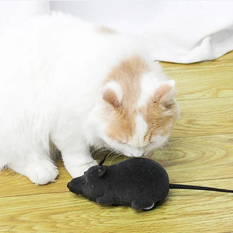 Remote-Controlled Mouse Cat Toy – Petjoy
