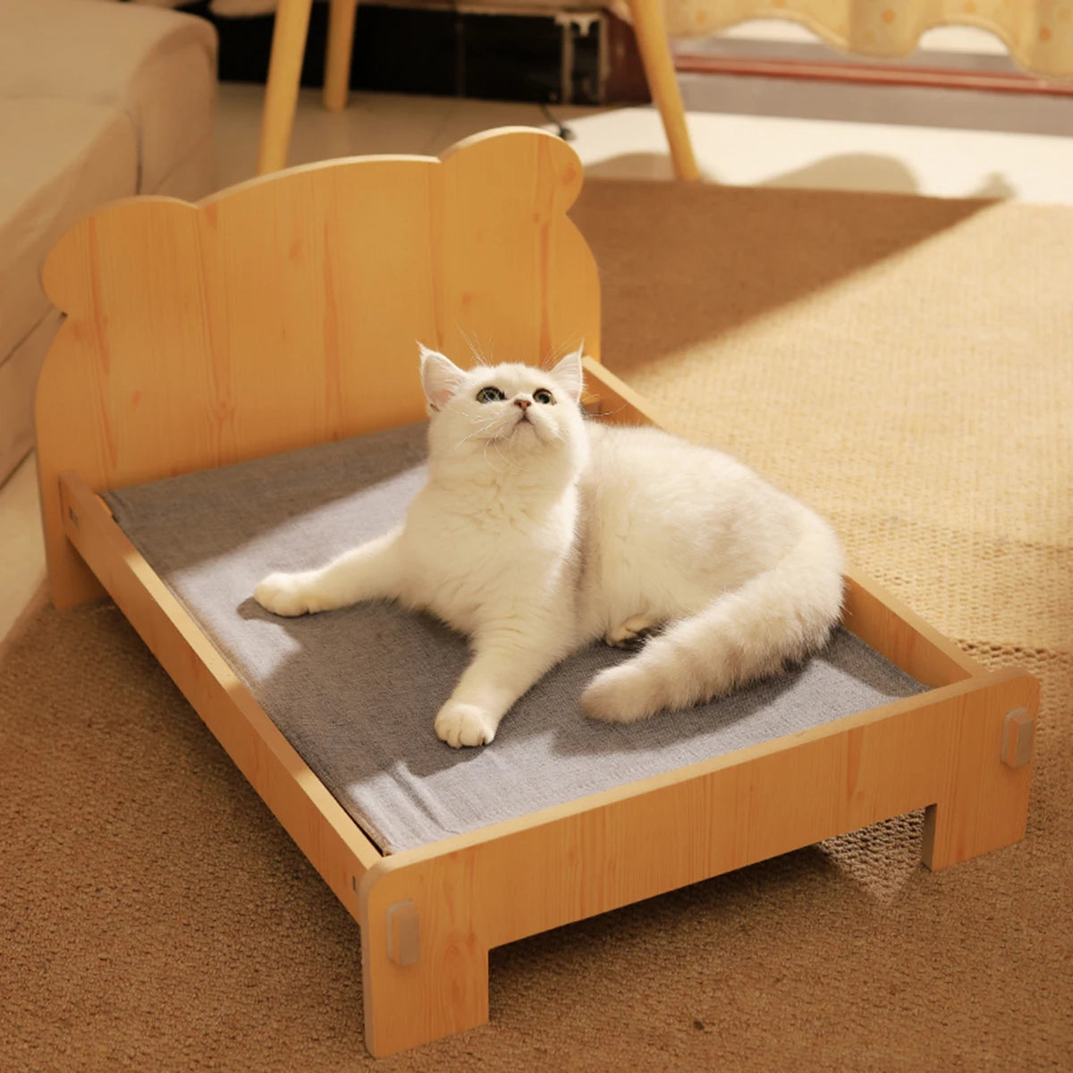 Wooden Cat and Dog Bed with Teddy Bear Pattern – Petjoy