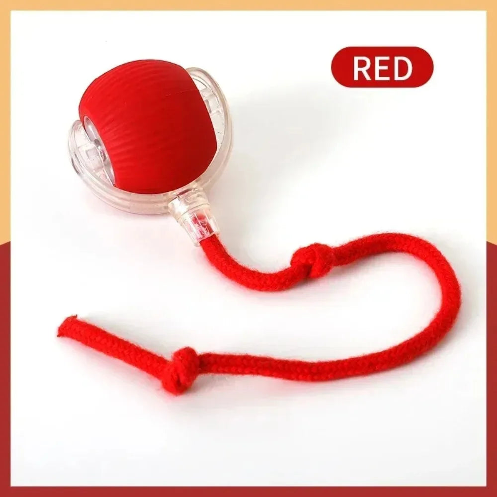 Smart Rolling Mouse Ball for Cats – Petjoy
