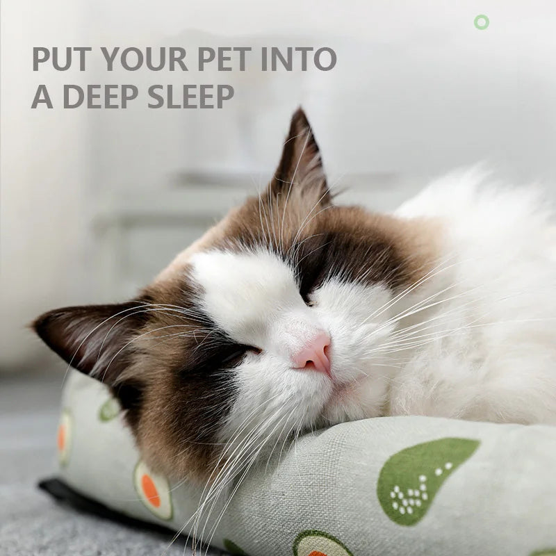 Summer Rattan Cat Bed – Petjoy