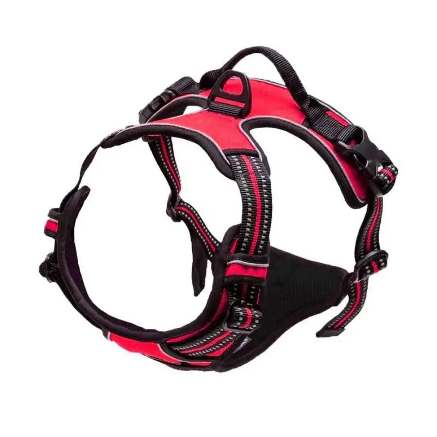 Leather Dog Harness &amp; Leash Set – Petjoy