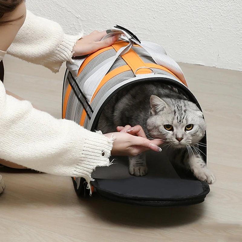 Foldable Mesh Pet Handbag Carrier - Petjoy