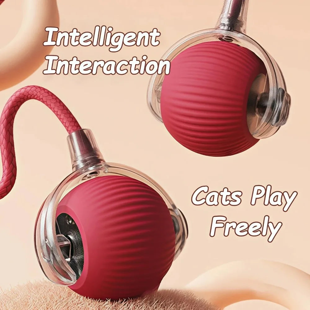 Smart Rolling Mouse Ball for Cats – Petjoy