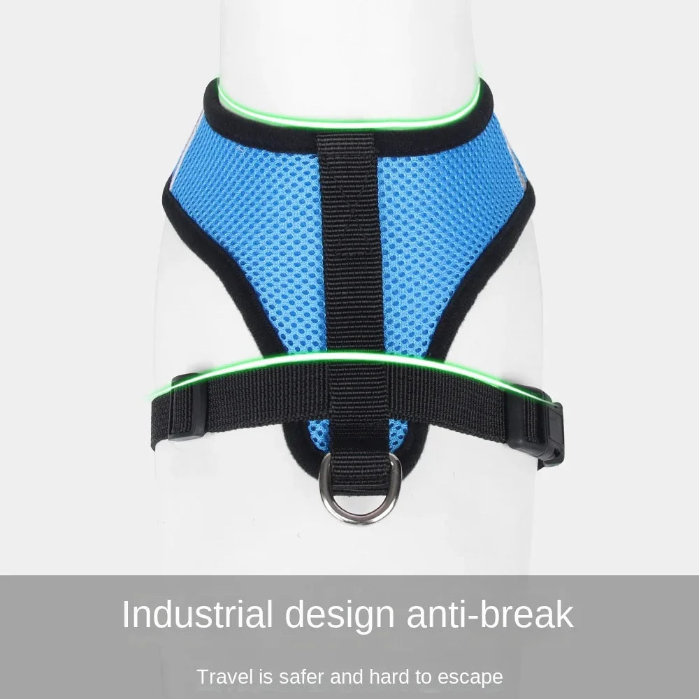 Breathable Mesh Harness &amp; Leash Set – Petjoy
