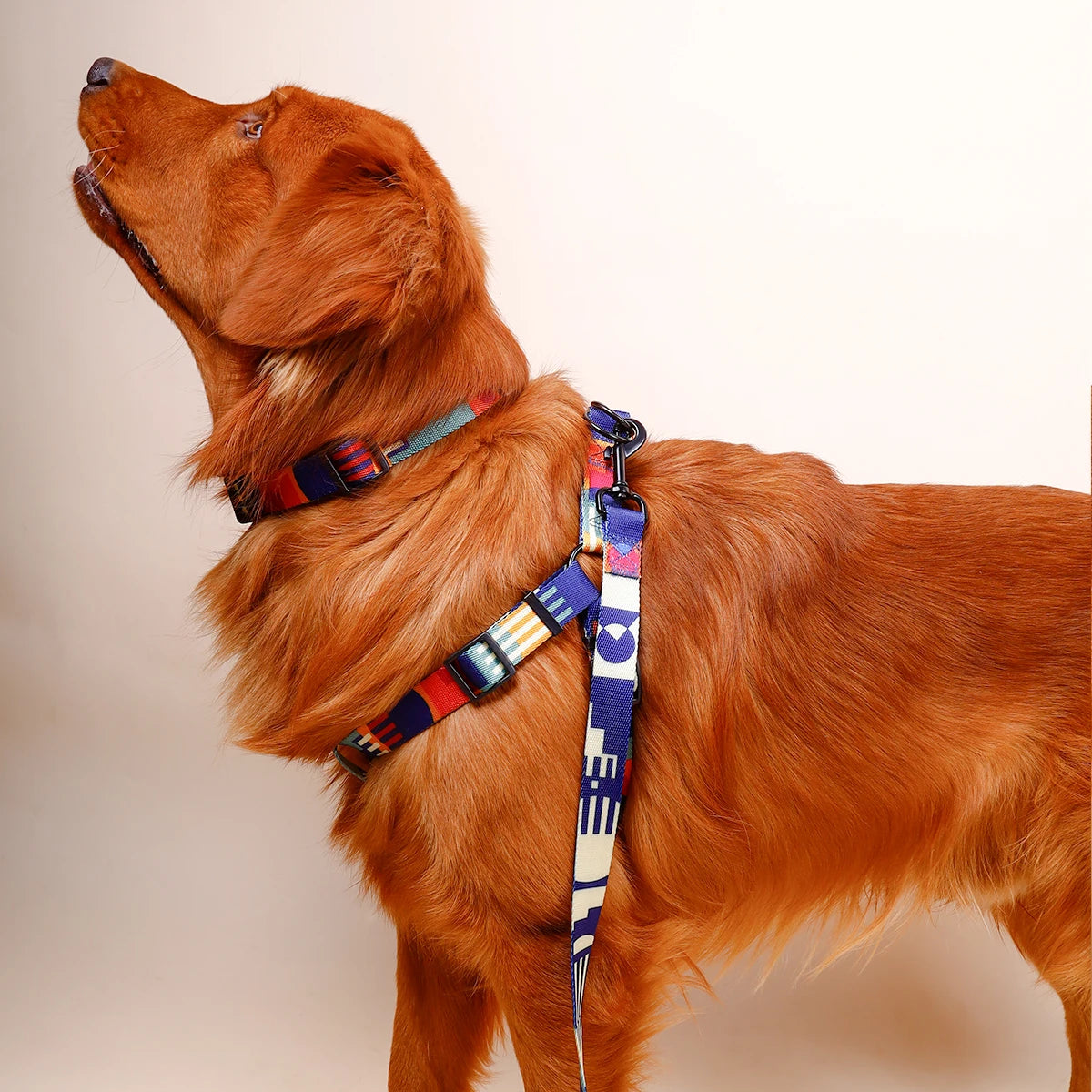 3-Piece Geometric Dog Harness, Collar &amp; Leash Set – Adjustable &amp; Escape-Proof – PetJoy