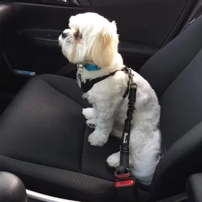 Elastic Car Safety Seat Belt for Dogs – Petjoy