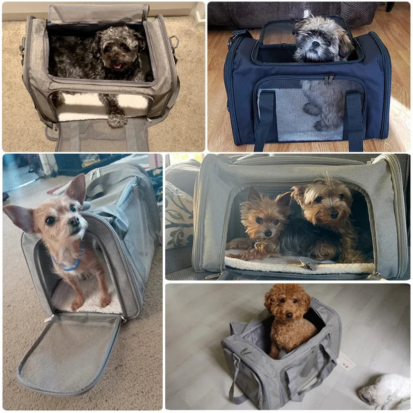 Airline-Approved Soft Pet Carrier Bag for Travel – PetJoy