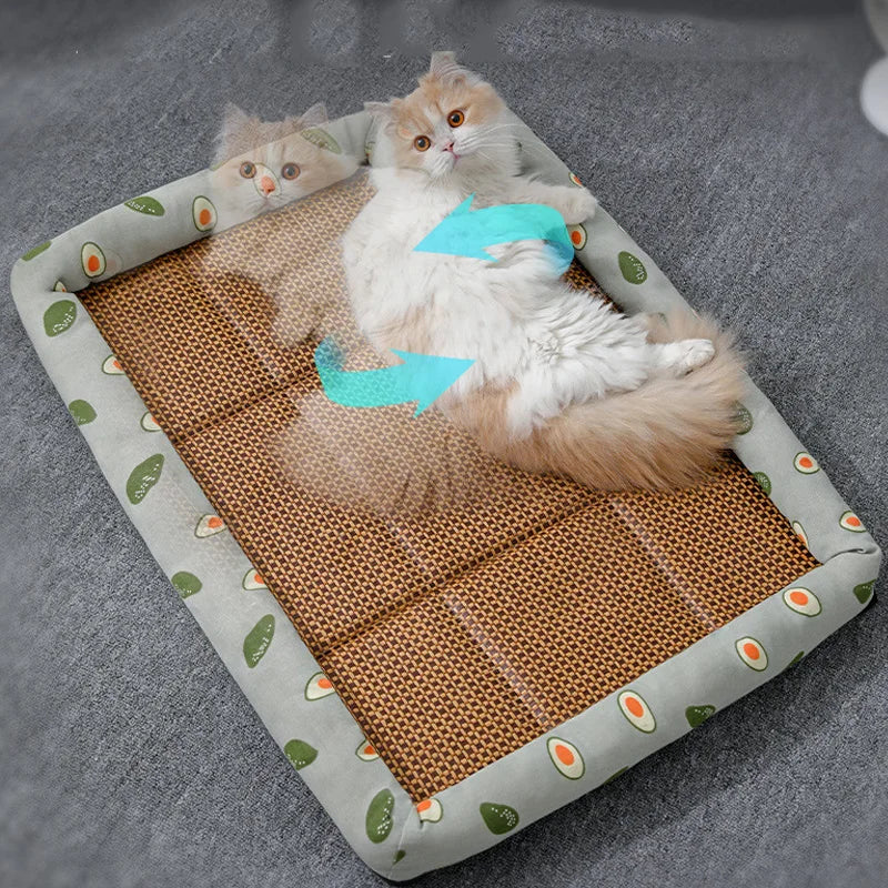 Summer Rattan Cat Bed – Petjoy