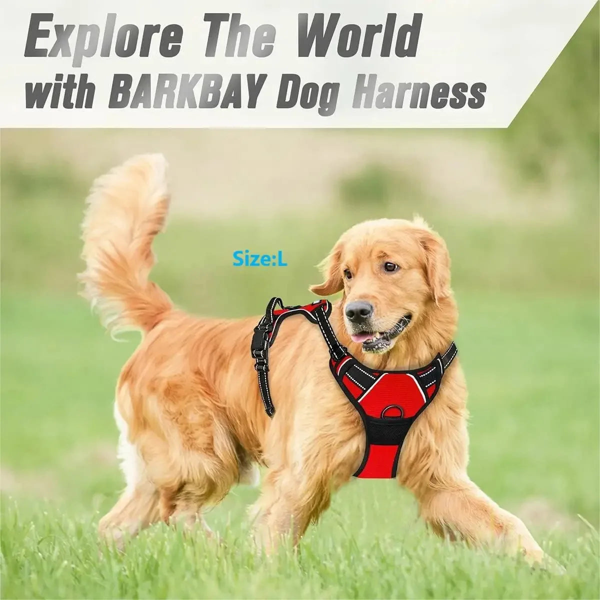 Leather Dog Harness &amp; Leash Set – Petjoy