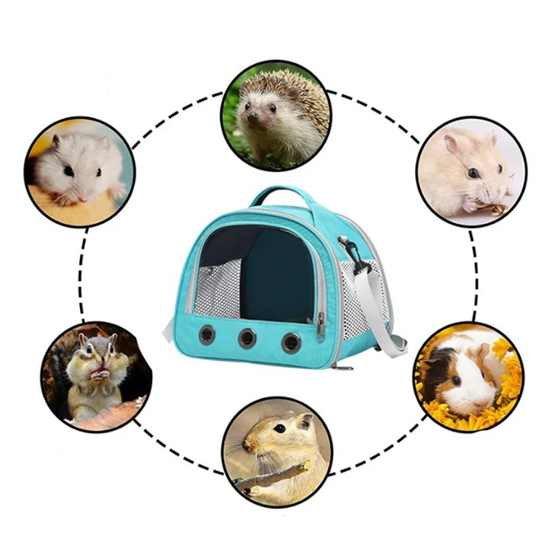 Foldable Travel Carrier with Bubble Window for Small Pets – PetJoy