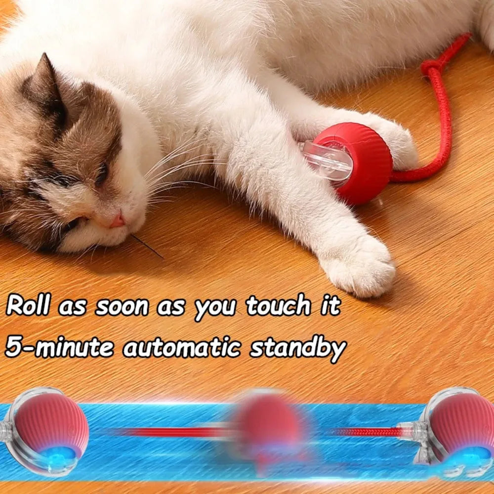 Smart Rolling Mouse Ball for Cats – Petjoy