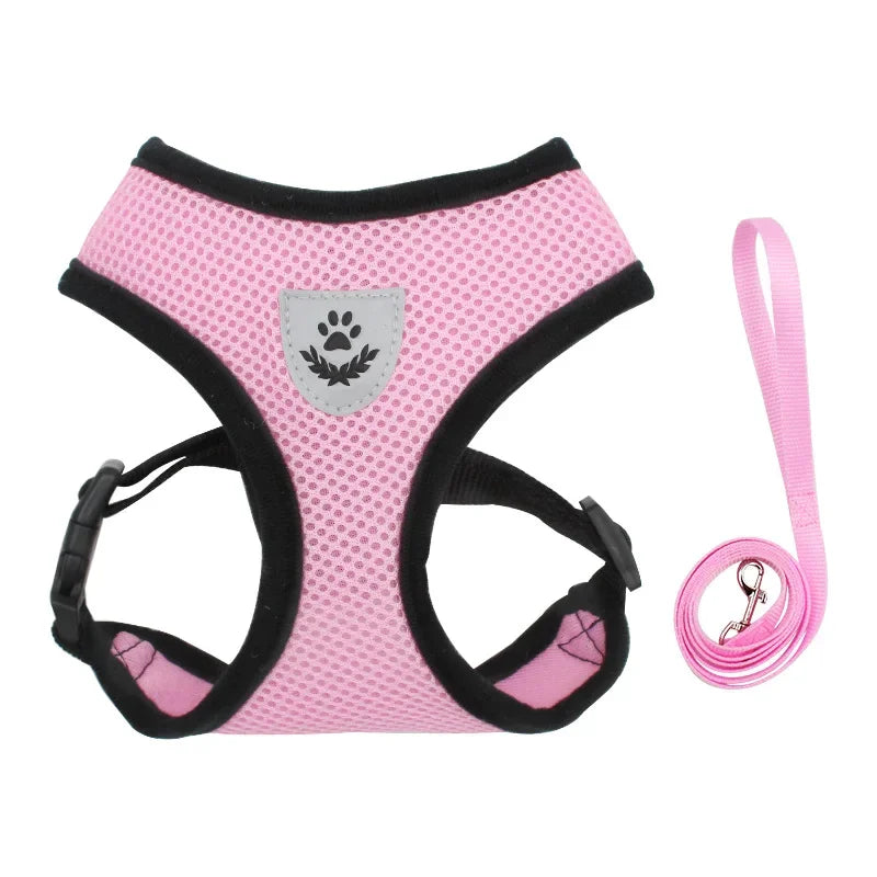 Breathable Mesh Harness &amp; Leash Set – Petjoy