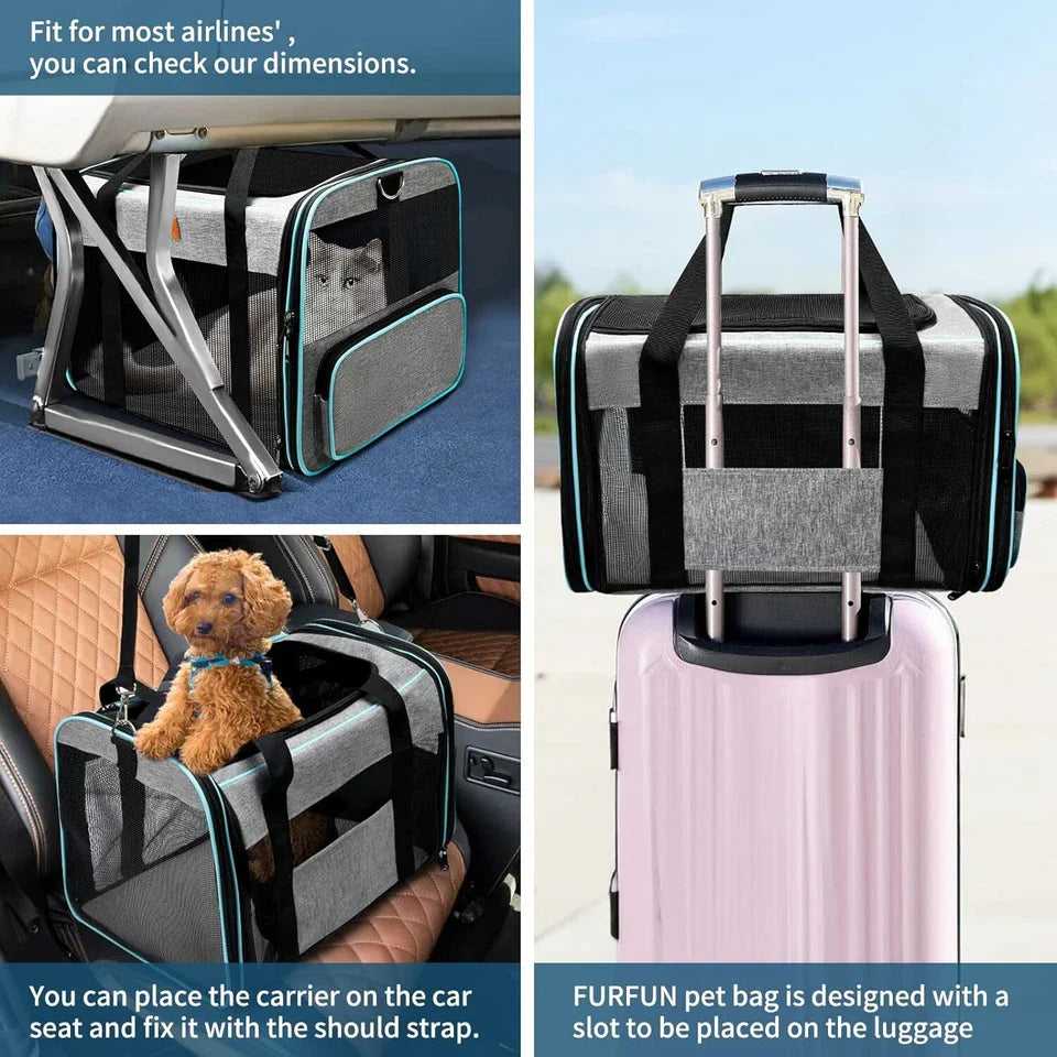 Airline-Approved Soft Travel Carrier for Dogs – Petjoy