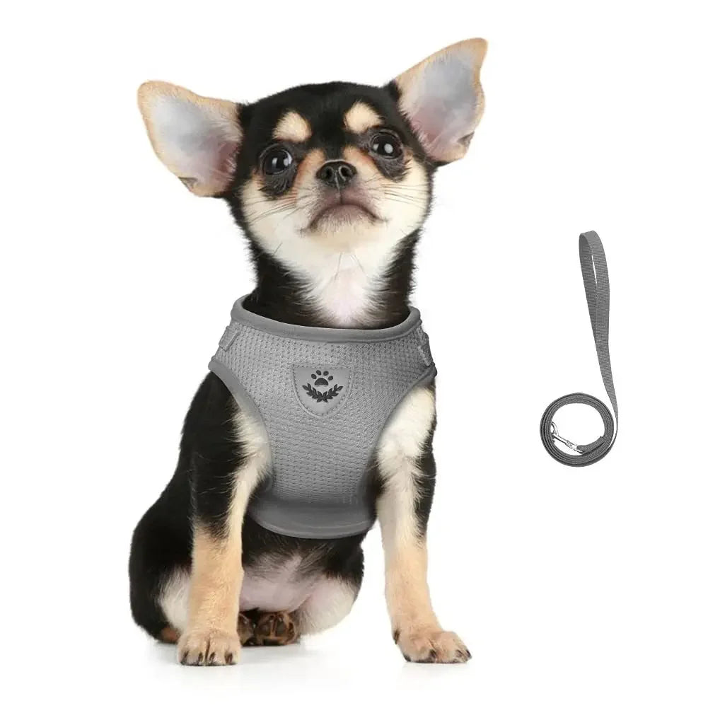 Adjustable Reflective Cat & Small Dog Harness Set – Escape-Proof Mesh Vest with Leash – PetJoy