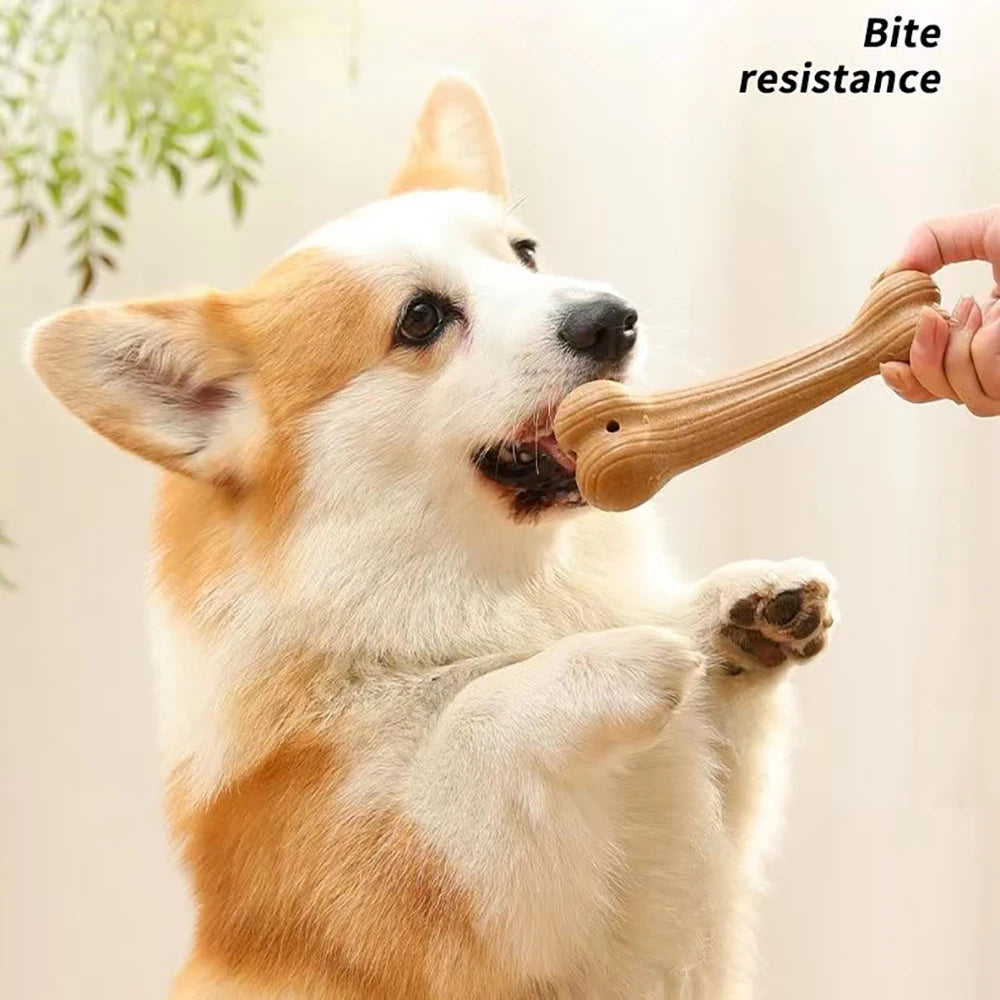 Bite-Resistant Pine Wood Chew Toy – Dental Stick for Dogs – PetJoy