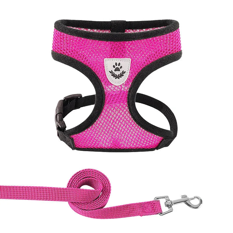 Breathable Mesh Harness &amp; Leash Set – Petjoy