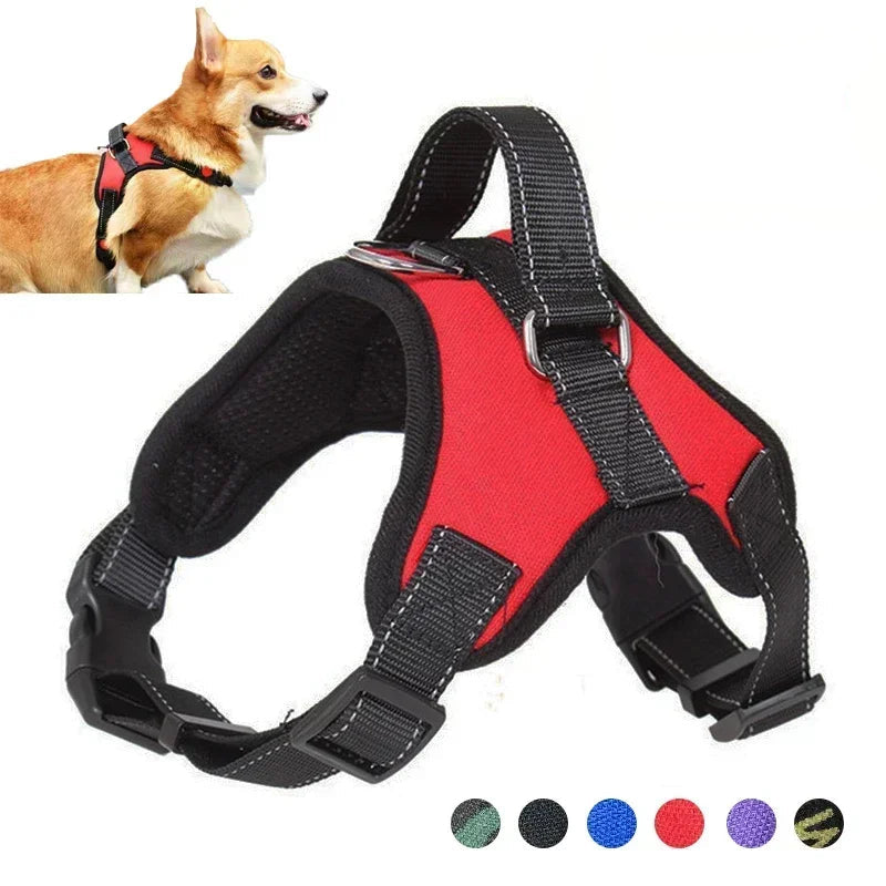Reflective No-Pull Saddle Dog Harness – Adjustable for All Sizes – PetJoy