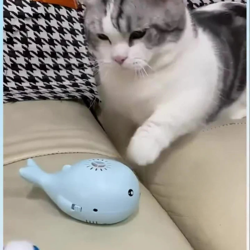 USB-Powered Floating Cat Toy – Petjoy