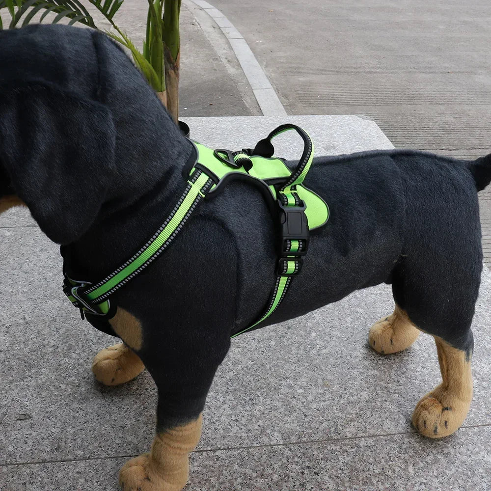 Reflective No-Pull Nylon Dog Harness &amp; Leash Set – Petjoy