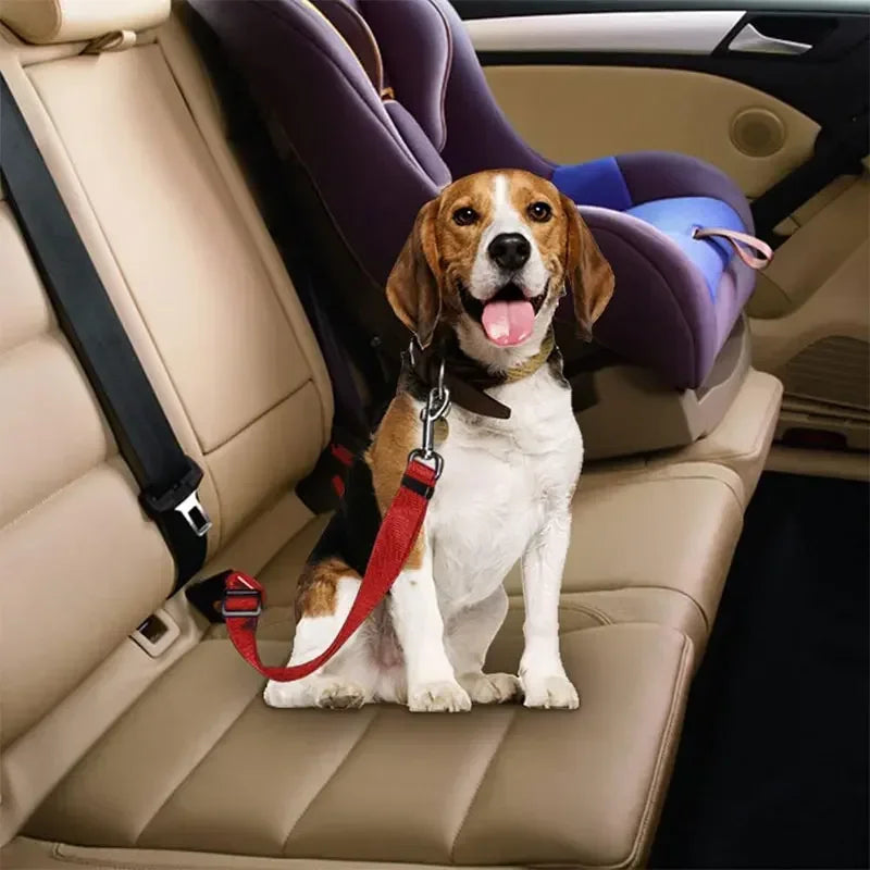 Adjustable Car Safety Seatbelt for Dogs & Cats – Secure &amp; Durable – PetJoy