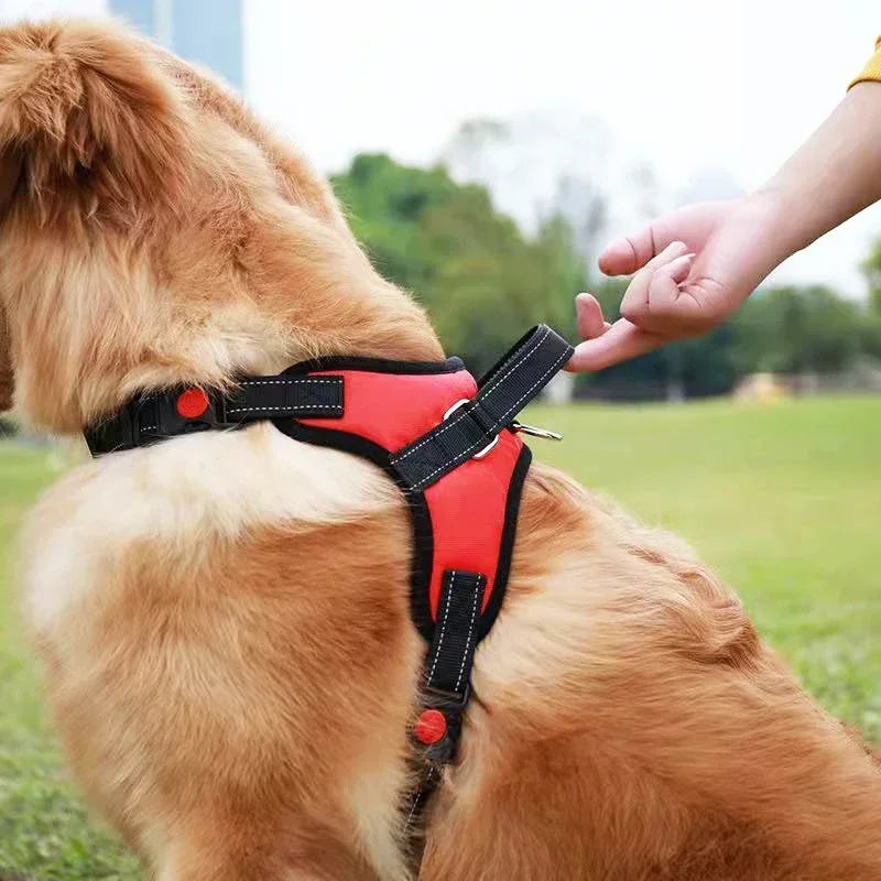 Reflective No-Pull Saddle Dog Harness – Adjustable for All Sizes – PetJoy