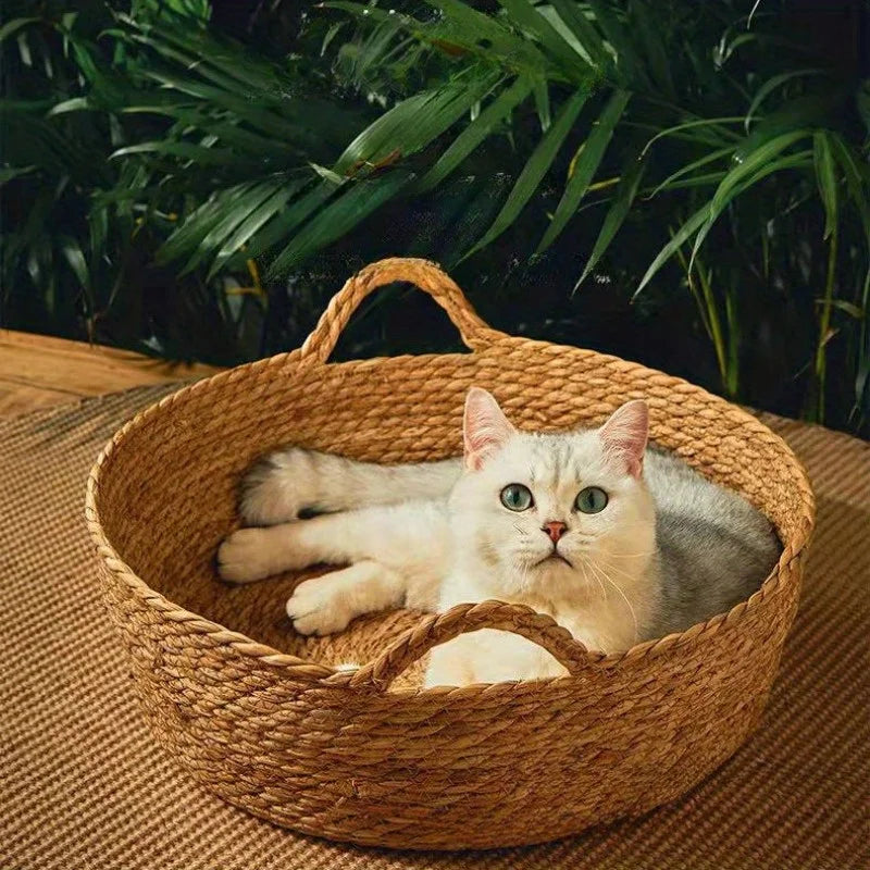 Handmade Rattan Cat Bed with Cushion – Petjoy