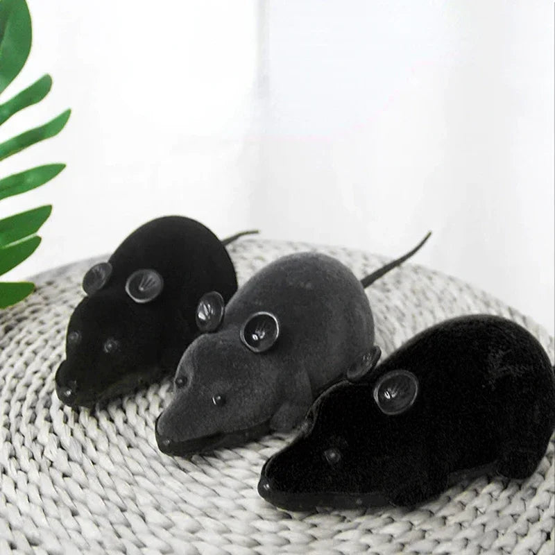 Remote-Controlled Mouse Cat Toy – Petjoy