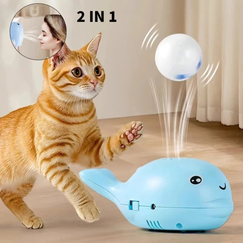 USB-Powered Floating Cat Toy – Petjoy