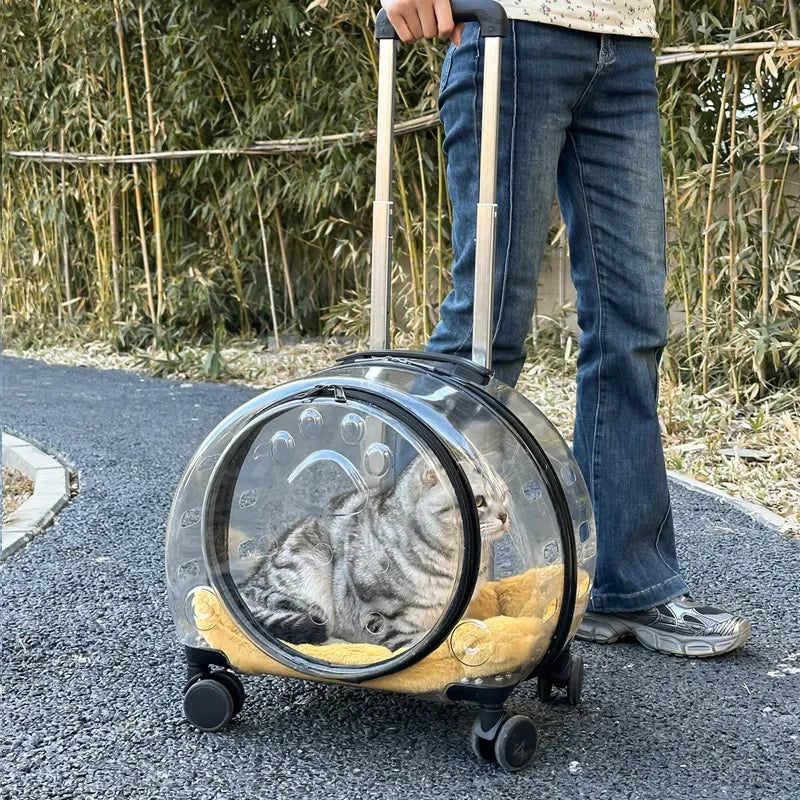 Transparent Wheeled Pet Travel Carrier for Cats Small Dogs – PetJoy