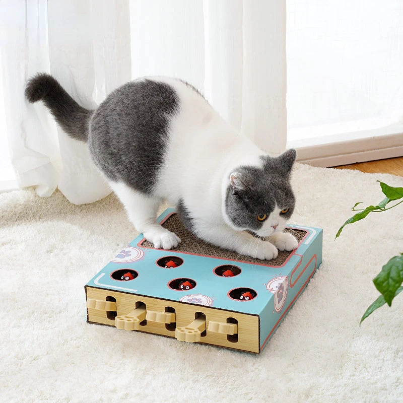 Whack-a-Mole Cat Scratching Board – Petjoy