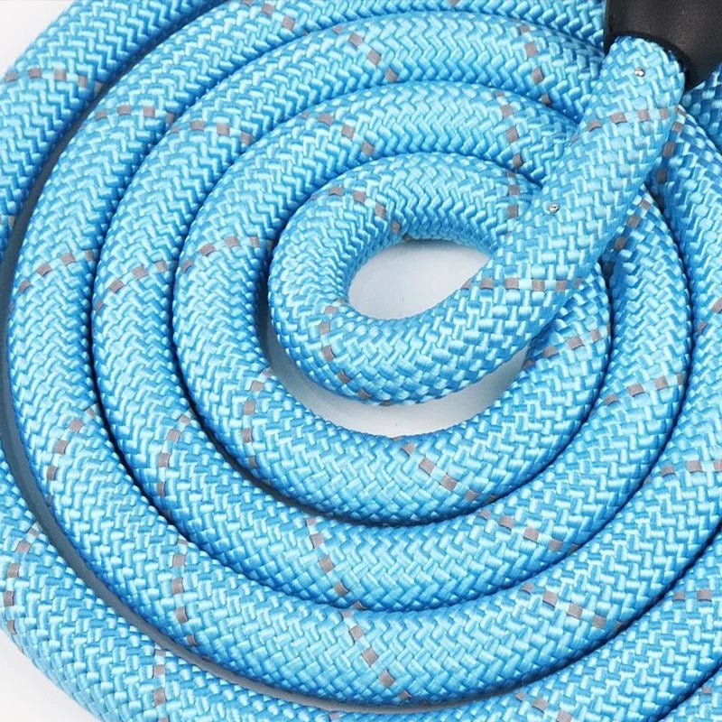 3M Reflective Dog Leash with Padded Handle – Petjoy