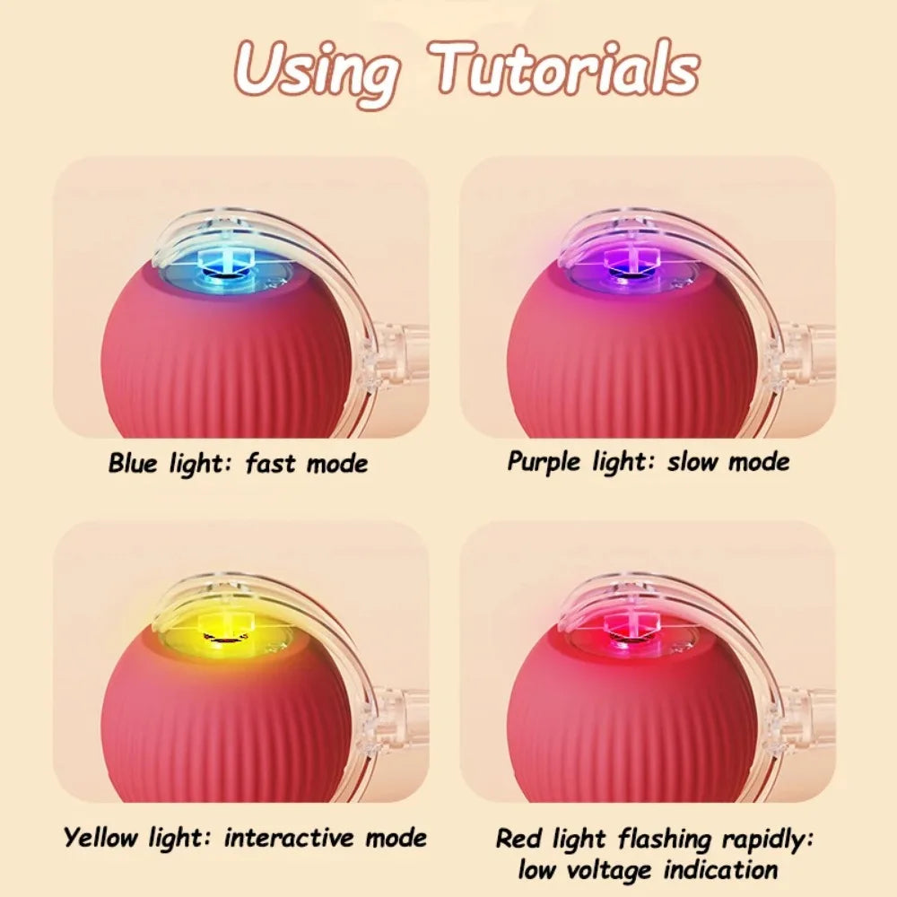 Smart Rolling Mouse Ball for Cats – Petjoy