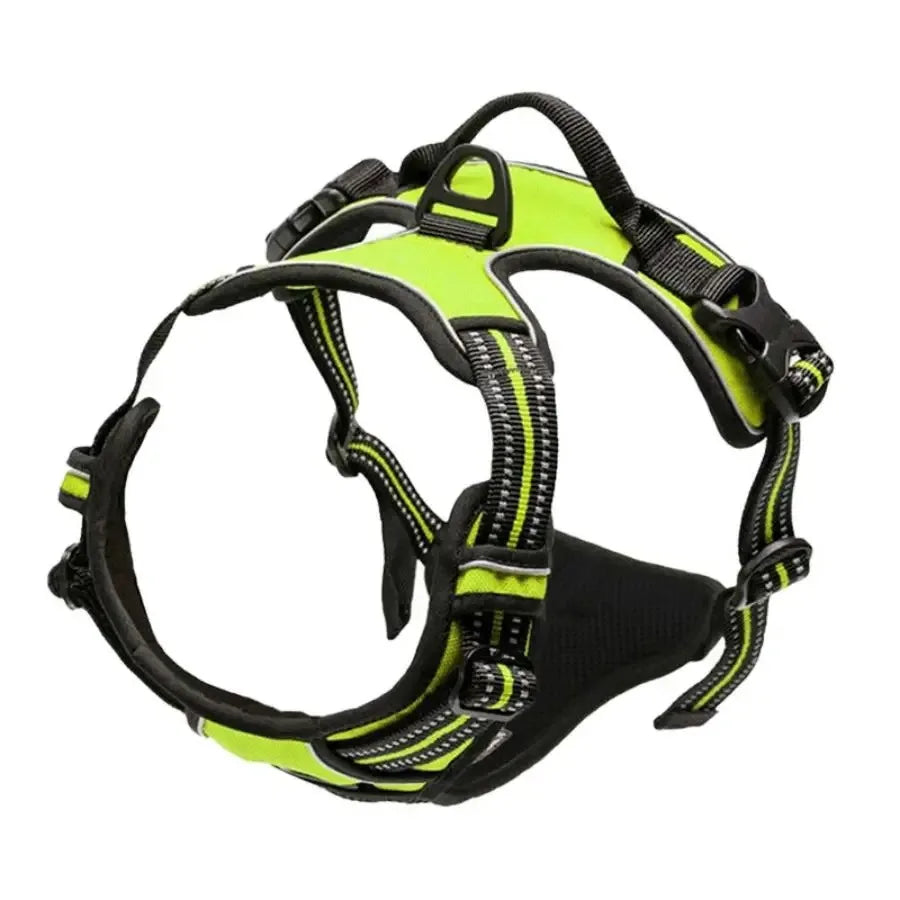 Leather Dog Harness &amp; Leash Set – Petjoy