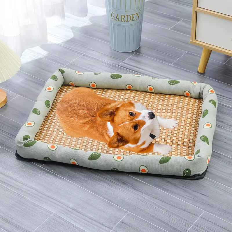 Summer Rattan Cat Bed – Petjoy