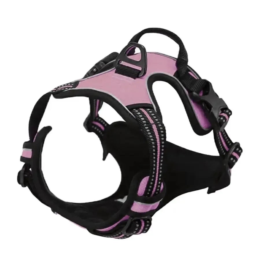 Leather Dog Harness &amp; Leash Set – Petjoy