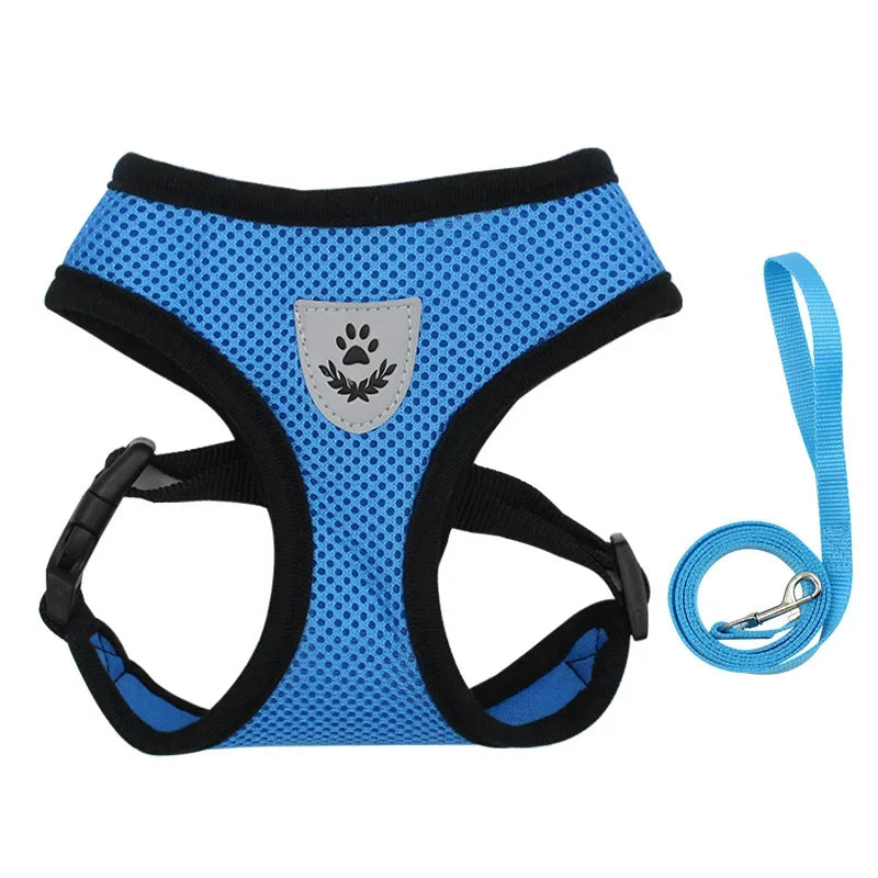 Breathable Mesh Harness &amp; Leash Set – Petjoy